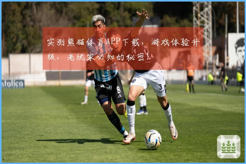 实测熊猫体育APP下载，游戏体验升级，老玩家必知的秘密！