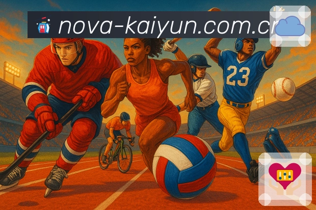 开云体育APP 封面图